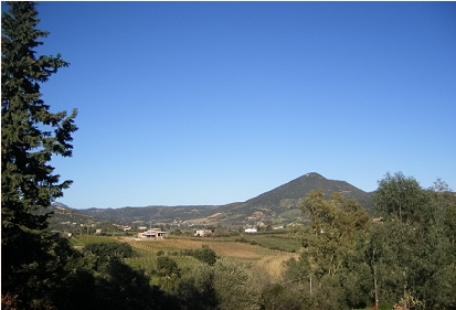 View from first floor balcony