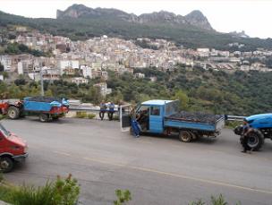 Jerzu at grape harvest time